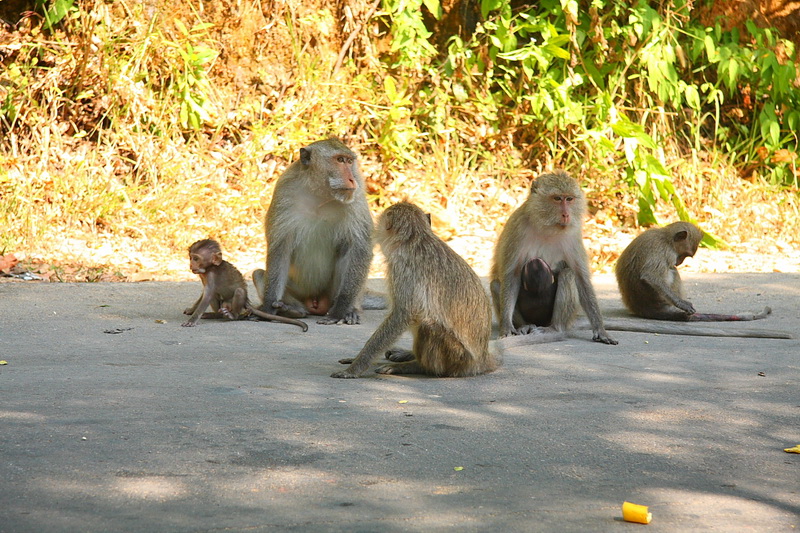 Thailand, Koh Chang